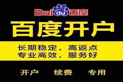 百度竞价SEM的转化率提升：某企业成功经验分享